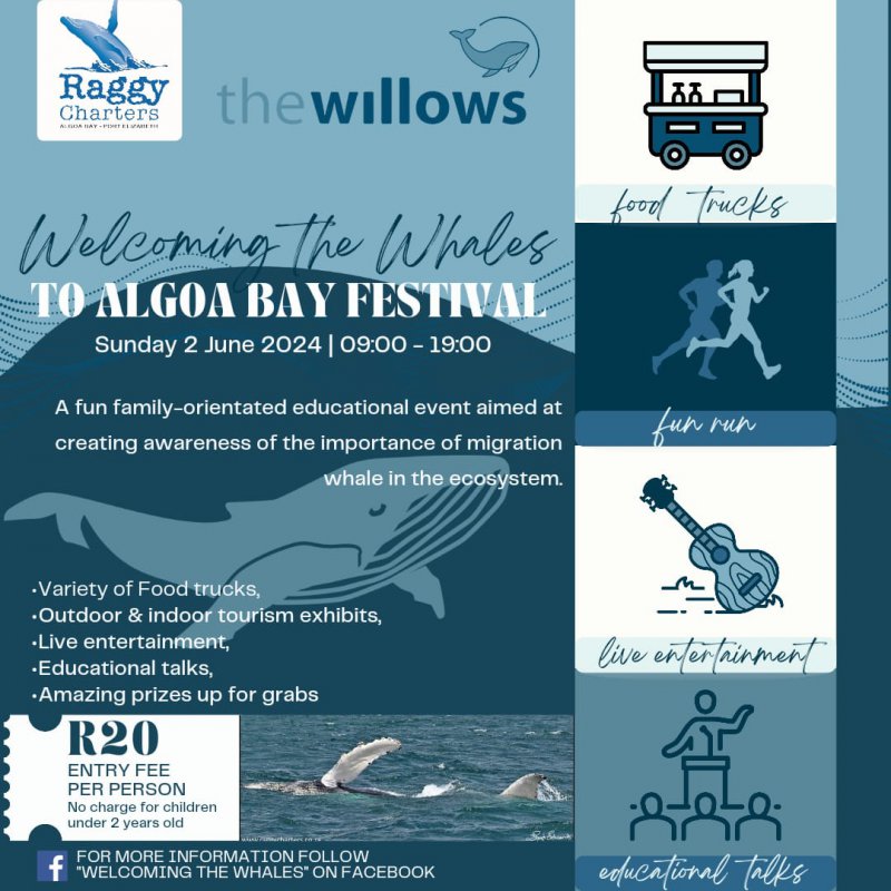 News Article Annual the Whales to Algoa Bay Festival Returns