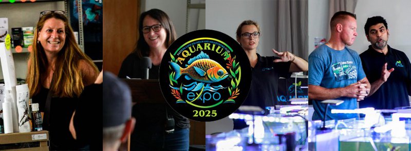 Aquarium Expo 2025