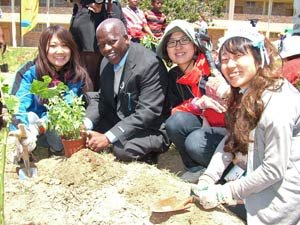 Japanese ‘eco-voluntourists’ plant gardens at Bay schools