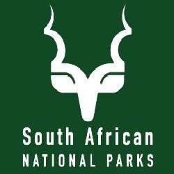 Enter fun writing contest in celebration of Addo’s 80th bday
