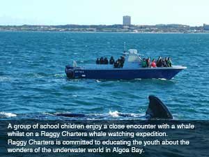 Bay in for a whale of a time