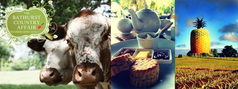 Bathurst Country Affair 2016