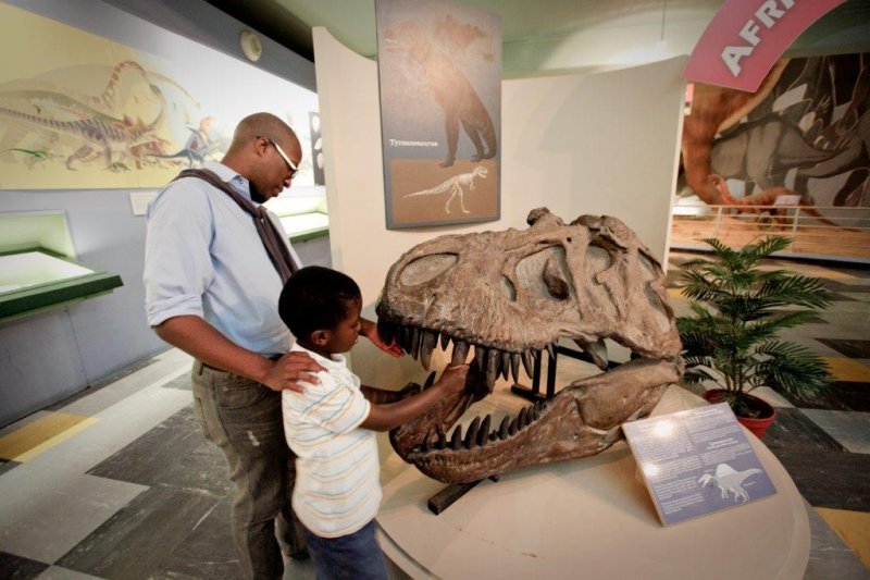 Bayworld opens its doors to the public