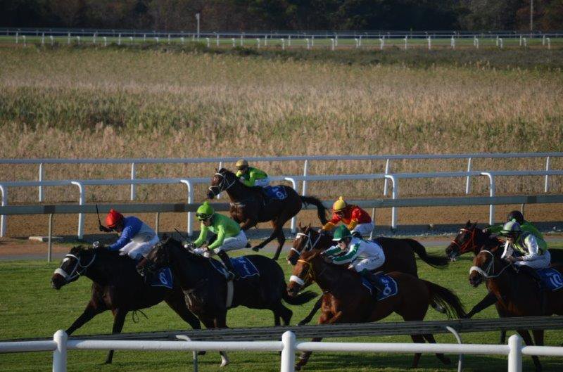 BETTING WORLD ALGOA CUP PROMISES TO BE A GREAT DAY OUT