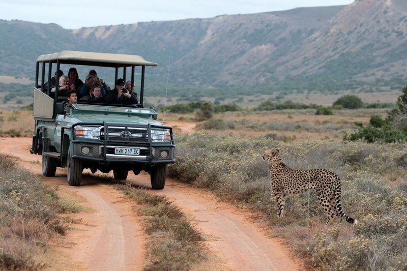 Big 5 Day Safari at Hlosi Game Lodge -3