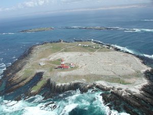 BIRD ISLAND MARINE PROTECTED AREA CELEBRATES TEN YEARS