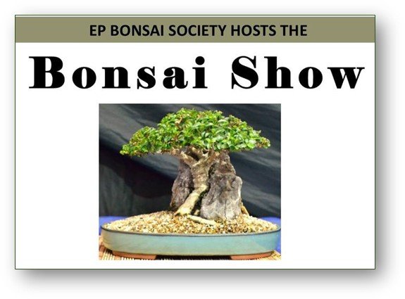 Bonsai Show