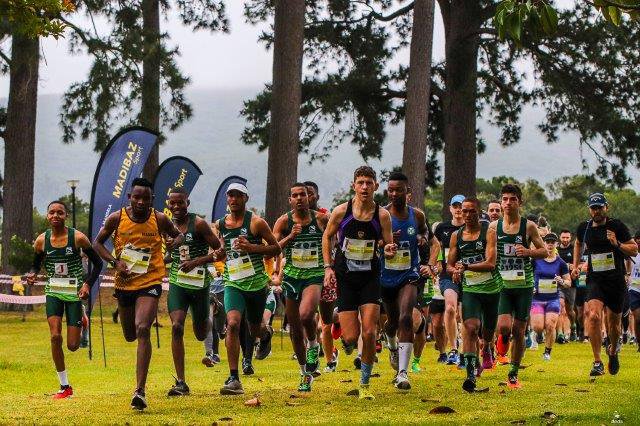 Bosman returns to old stomping ground for George forest run