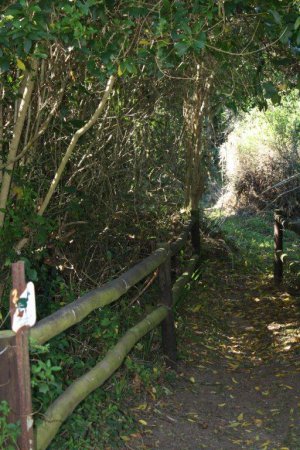 Bushbuck Trail Guided Hike