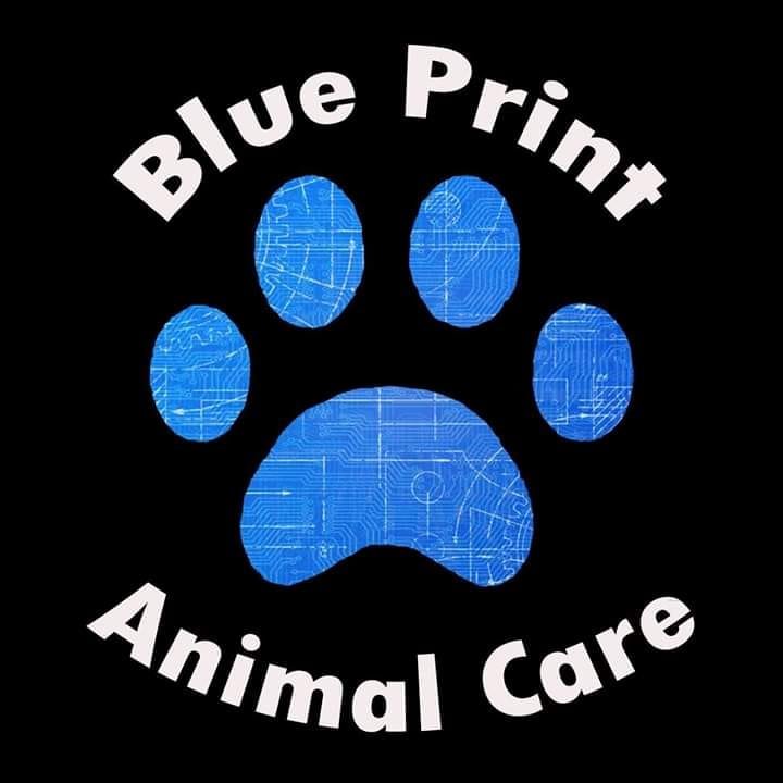BUSHWALK FOR BLUEPRINT ANIMAL RESCUE