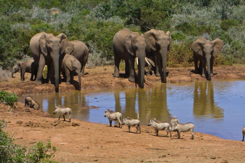 BUSY FESTIVE SEASON IN FRONTIER REGION NATIONAL PARKS