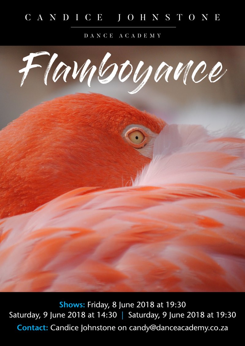 Candice Johnstone Dance Academy - Flamboyance