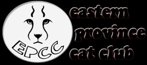 Cat Show