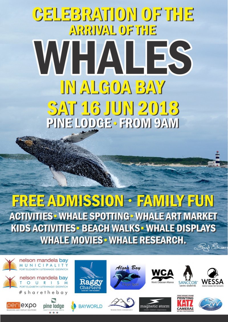 Celebrating the Whales in Algoa Bay 2018