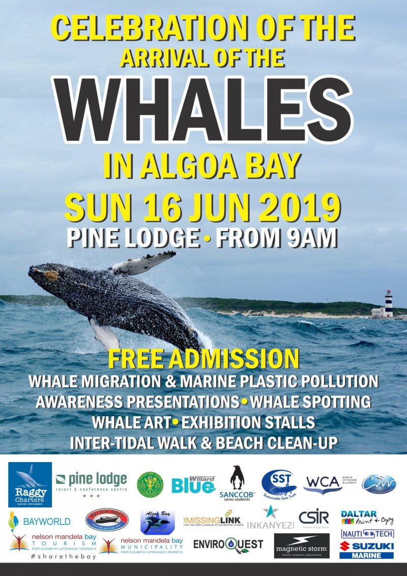 CELEBRATING THE WHALES IN ALGOA BAY 2019 