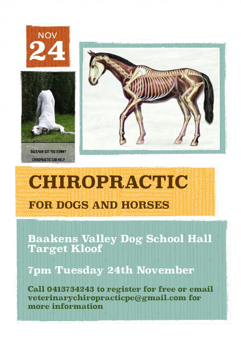 Chiropractic for Dogs and Horses - Free Talk