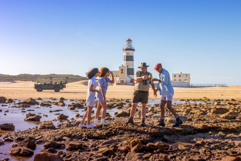 Coastal Safari Launches in Cape Recife Nature Reserve