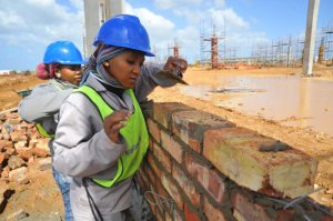 Coega receives major job creation award