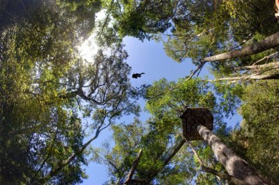 Win a Tsitsikamma Canopy Tour for 4 people