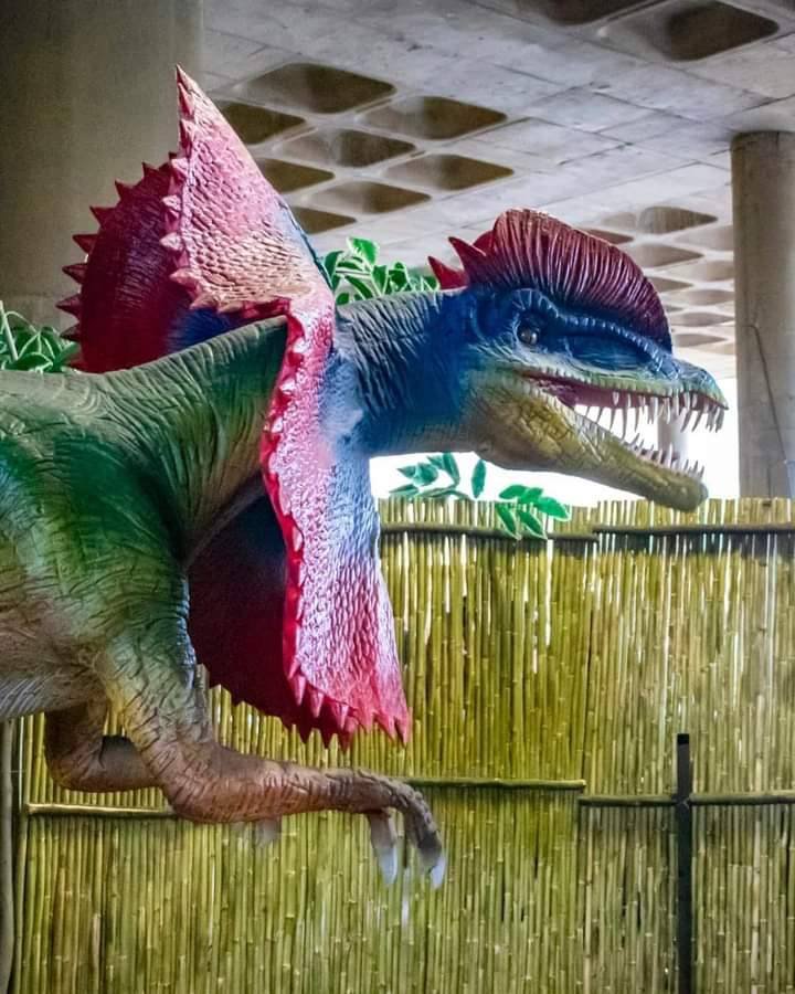 Dino World Festival
