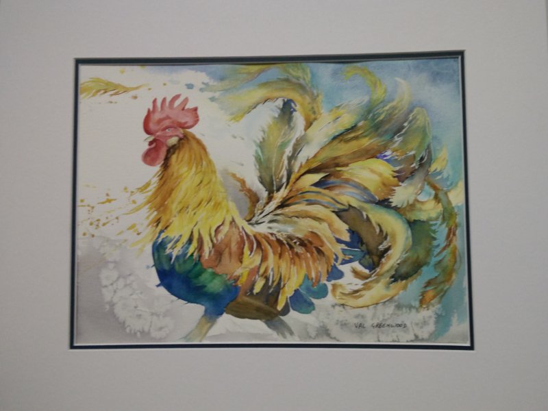 East Cape Watercolour Assocation Annual Exhibition