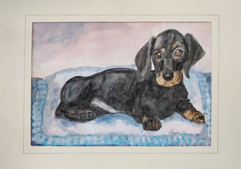 East Cape Watercolour Association DVD and Social