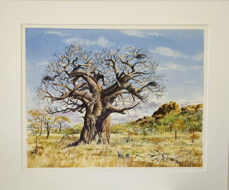East Cape Watercolour Association Friendly Critiquing Session