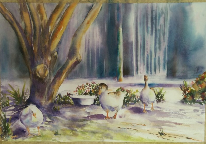 East Cape Watercolour Association "Paint along with DVD:  Colour Workshop."