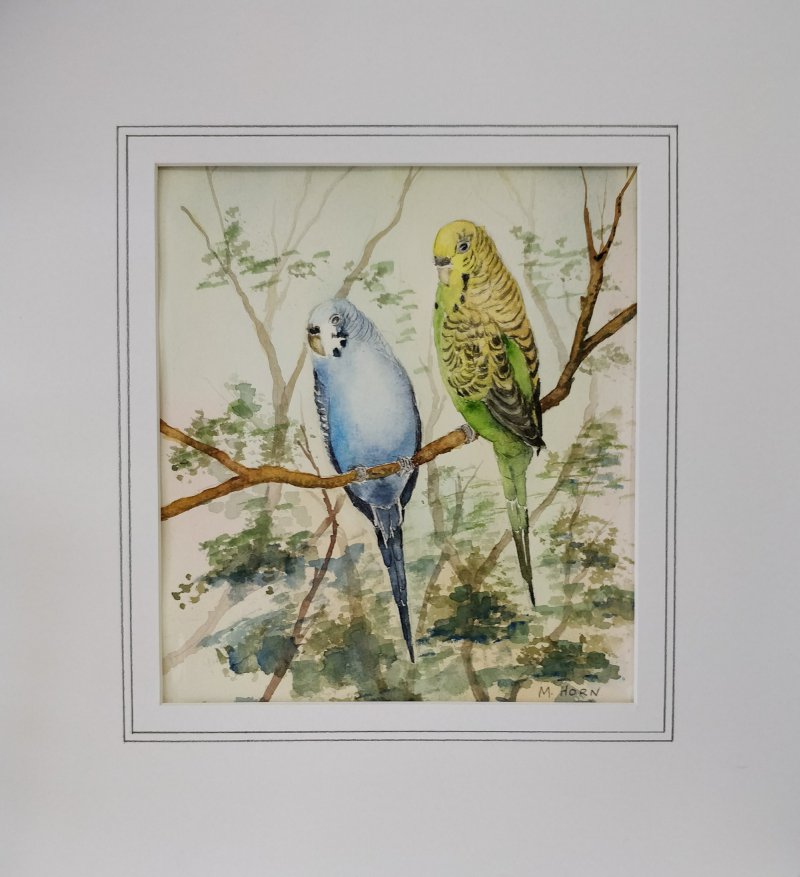 East Cape Watercolour Association "Paint as you Please"