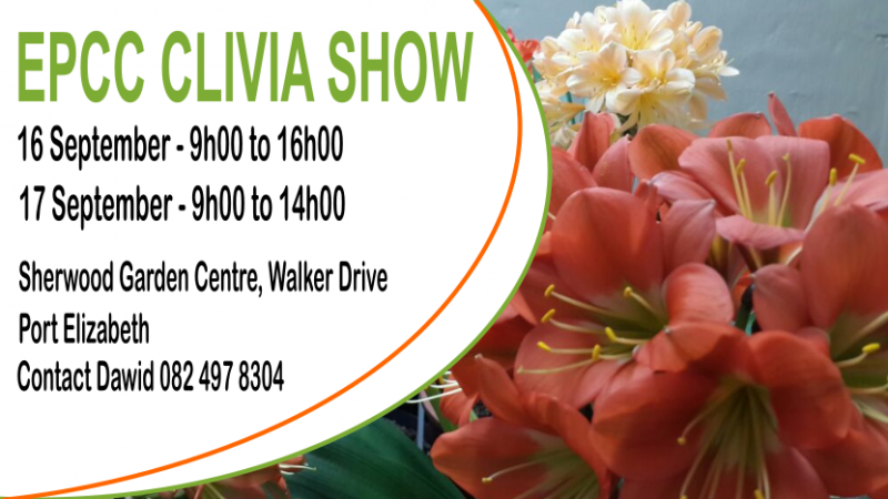 EP Clivia Club: Clivia Flower Show