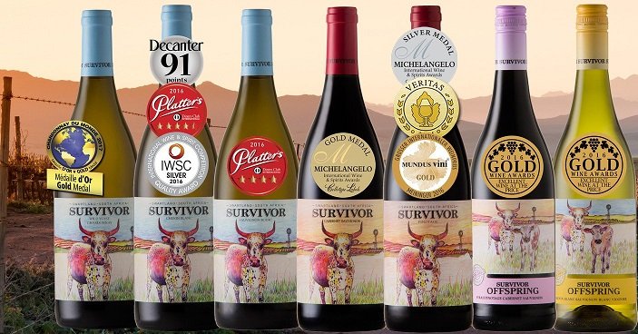 Evening Wine Tasting with Survivor Wines