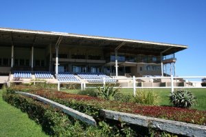 THOROUGHBRED HORSERACING 