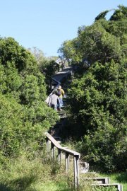 Lower Guinea Fowl Hiking Trail Hike