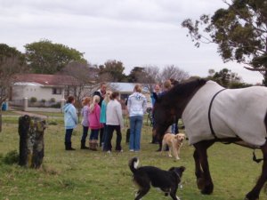2-Day Beginners Horse Workshop