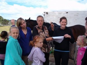 2-Day Beginners Horse Workshop