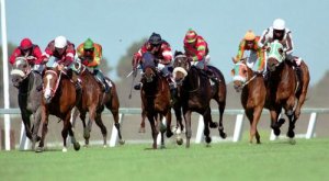 Thoroughbred Horse Racing 