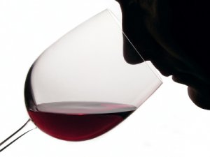 New Brighton Wine Festival Wine Club