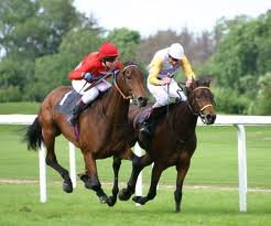Festival of Racing