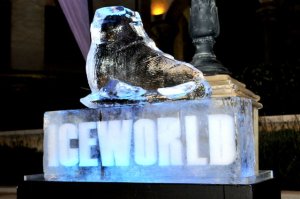ICE WORLD- Real ice rink at The Boardwalk 