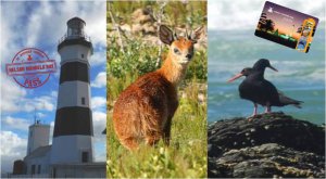 Experience Cape Recife Nature Reserve and more with the NMB Pass