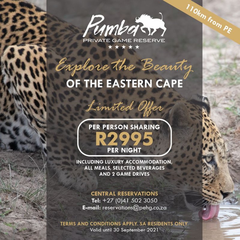 Explore the Beauty of the Eastern Cape