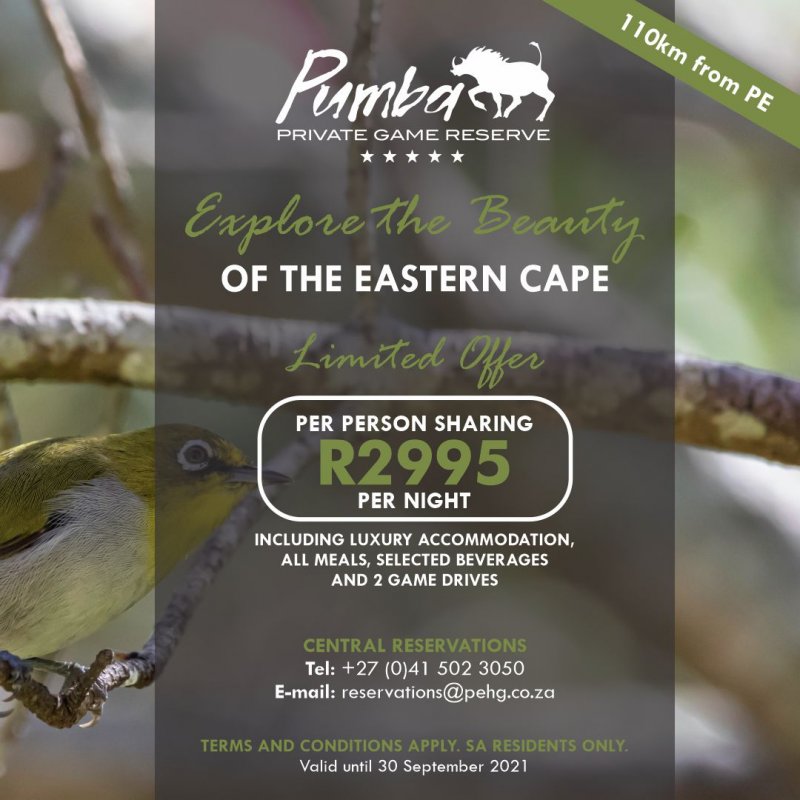 Explore the Beauty of the Eastern Cape-3