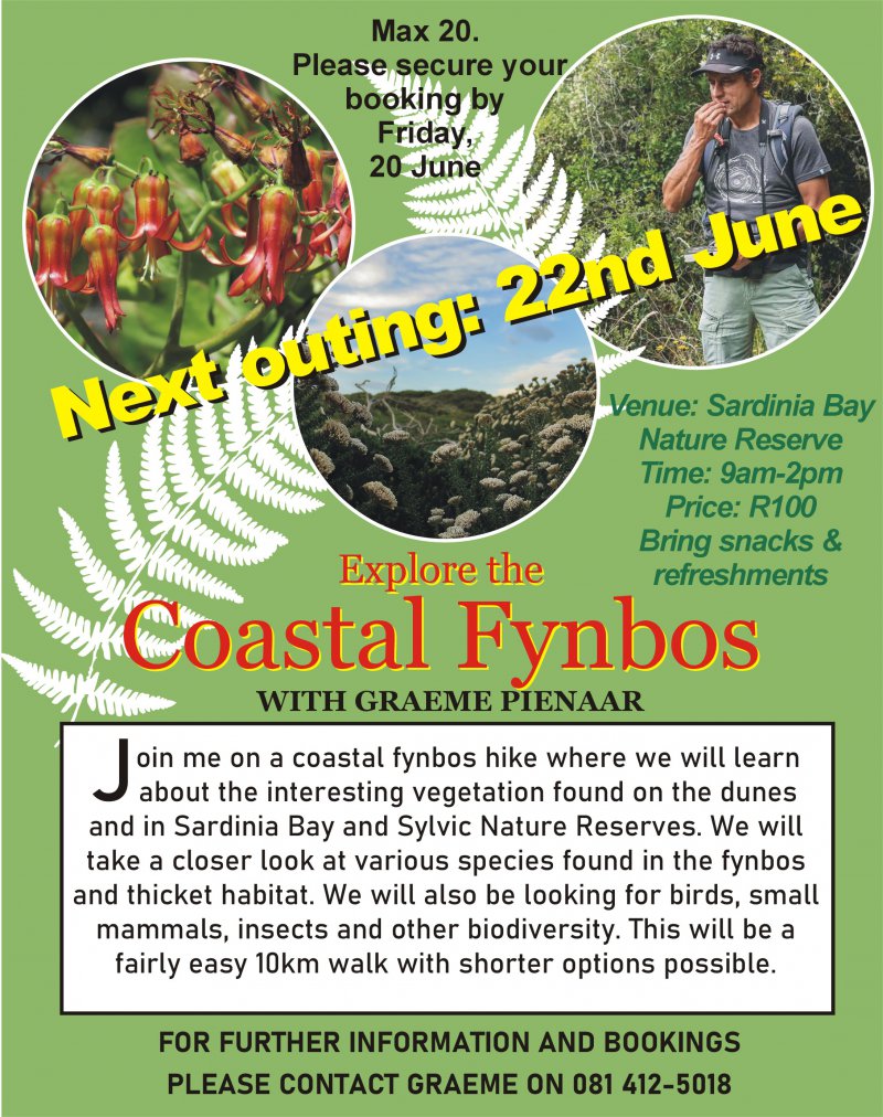 Explore The Coastal Fynbos