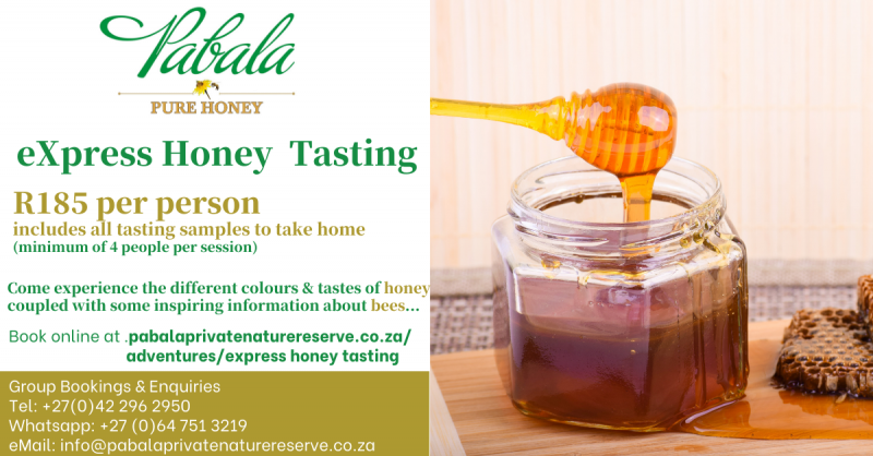 eXpress Honey Tasting-2