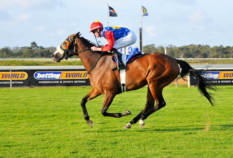 Fairview Racecourse 