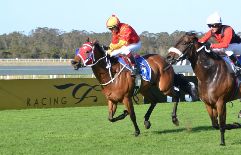 Fairview Racecourse 
