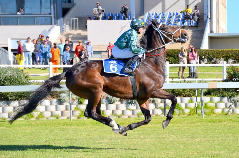 Fairview Racecourse - live horseracing