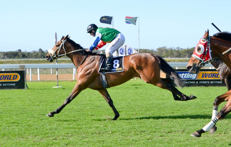 Fairview Racecourse - Live horseracing 
