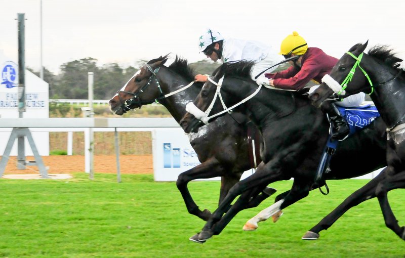 Fairview Racecourse - Live Horseracing