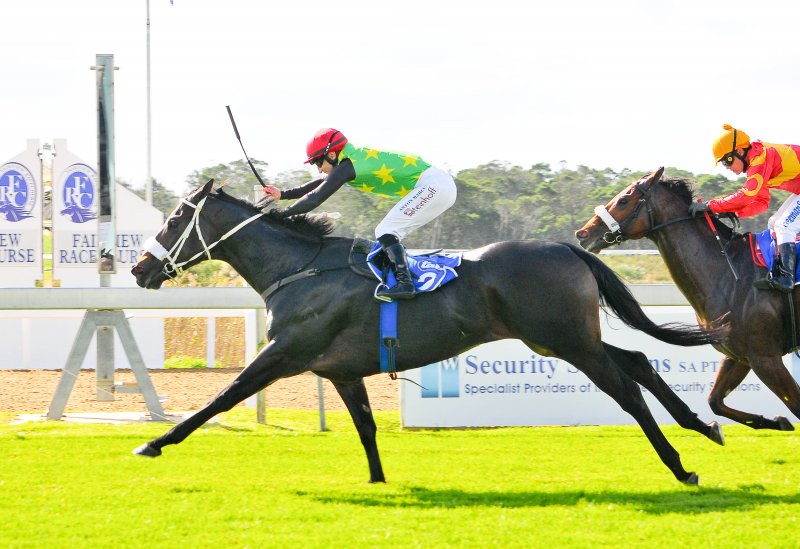 Fairview Racecourse - Live Horseracing